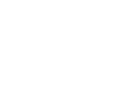 skill icon